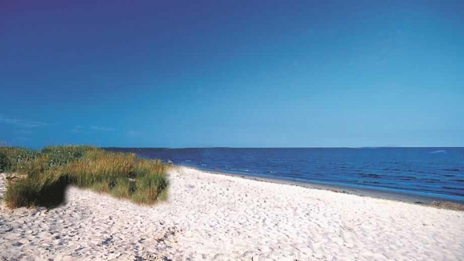 Апартаменти Witte Huus 75M_ Und 51M_ Ferienwoh Гокзіль Екстер'єр фото